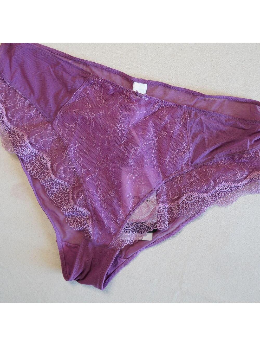 NWT Panache high waisted sheer violet brief panties